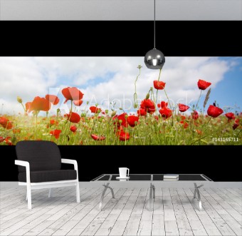 Picture of Poppies field in rays sun